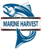 marineharvestpk.com